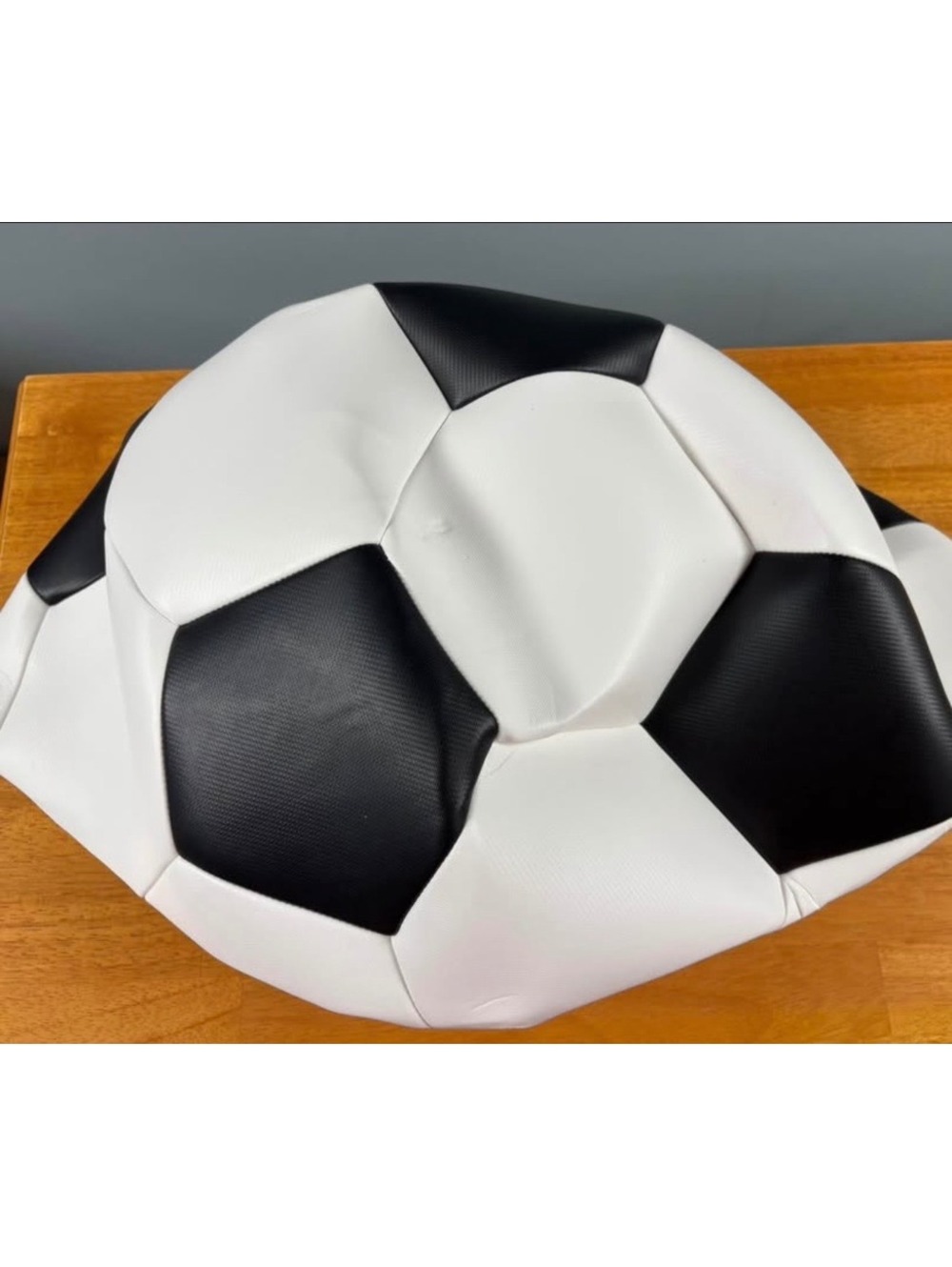 BABORUI PU 25" Herding Soccer Ball for Dogs With Pump And Inflation Needle